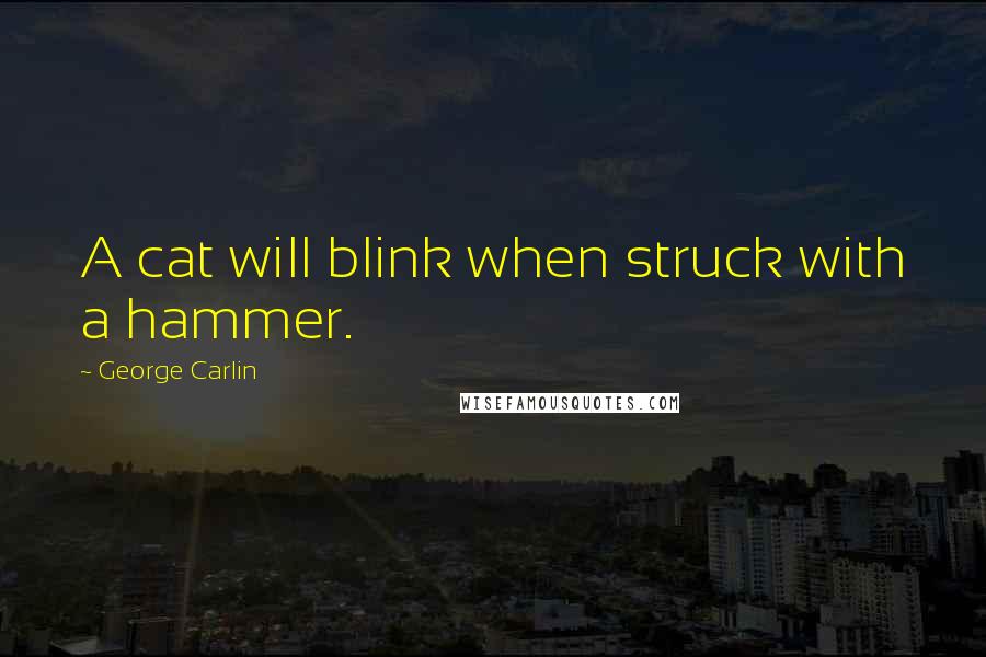 George Carlin Quotes: A cat will blink when struck with a hammer.