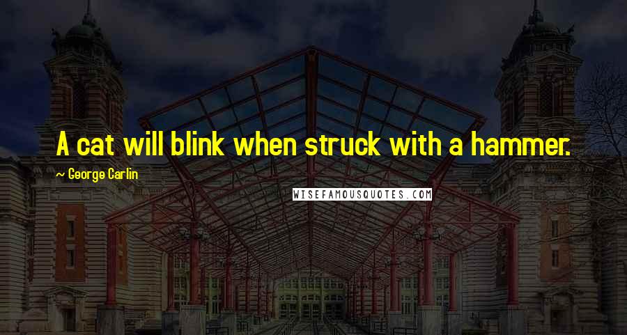 George Carlin Quotes: A cat will blink when struck with a hammer.