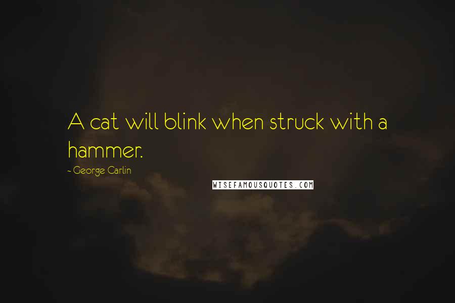 George Carlin Quotes: A cat will blink when struck with a hammer.