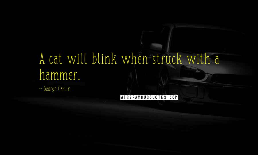 George Carlin Quotes: A cat will blink when struck with a hammer.