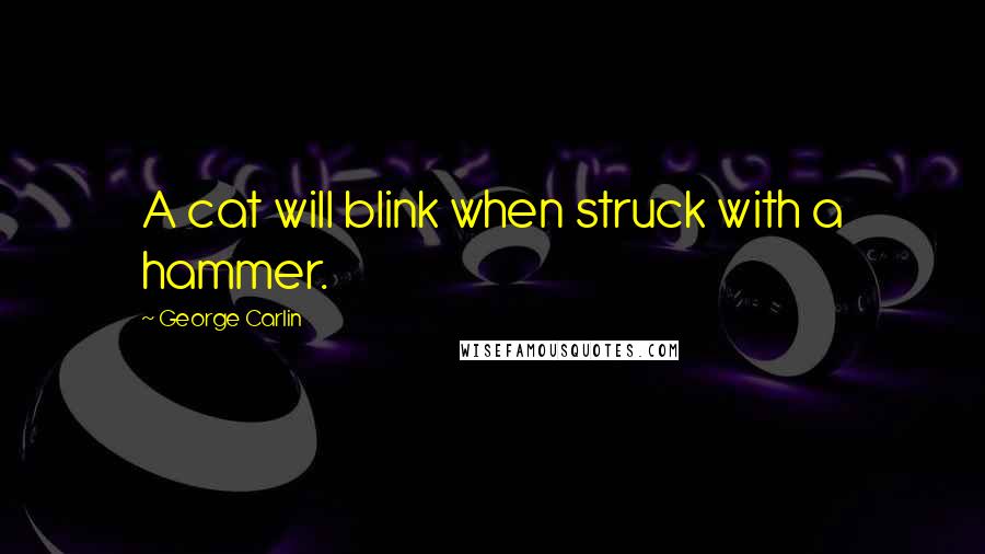 George Carlin Quotes: A cat will blink when struck with a hammer.