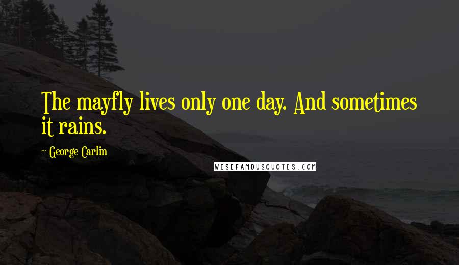 George Carlin Quotes: The mayfly lives only one day. And sometimes it rains.