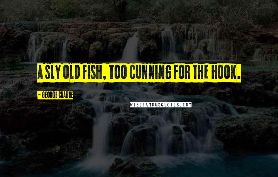 George Crabbe Quotes: A sly old fish, too cunning for the hook.