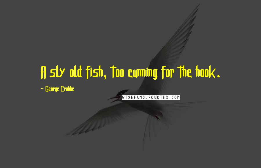 George Crabbe Quotes: A sly old fish, too cunning for the hook.