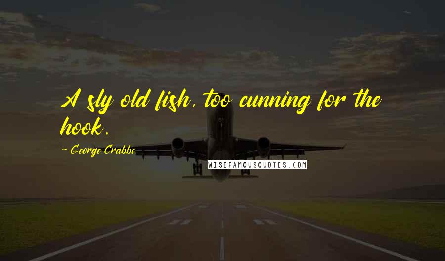 George Crabbe Quotes: A sly old fish, too cunning for the hook.