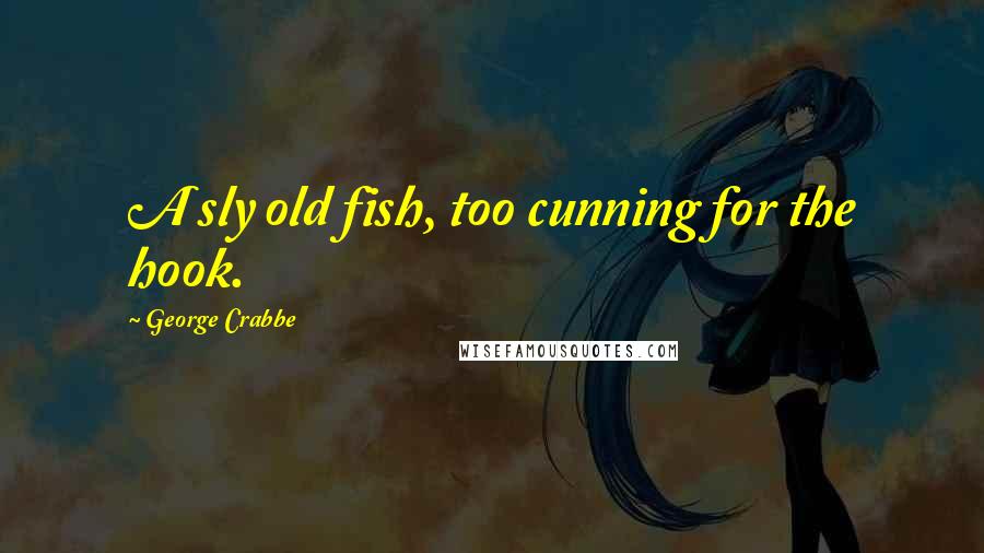 George Crabbe Quotes: A sly old fish, too cunning for the hook.