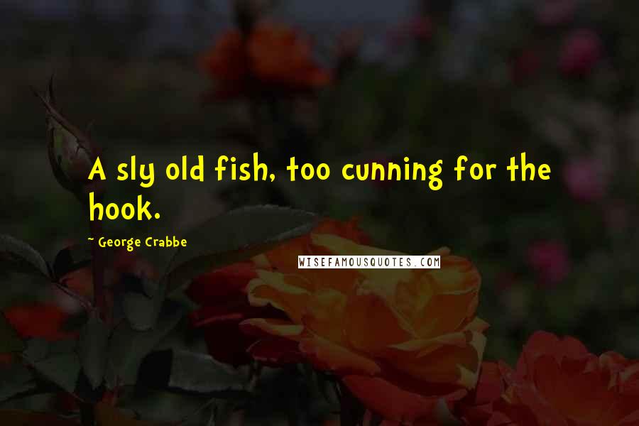 George Crabbe Quotes: A sly old fish, too cunning for the hook.