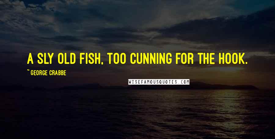 George Crabbe Quotes: A sly old fish, too cunning for the hook.