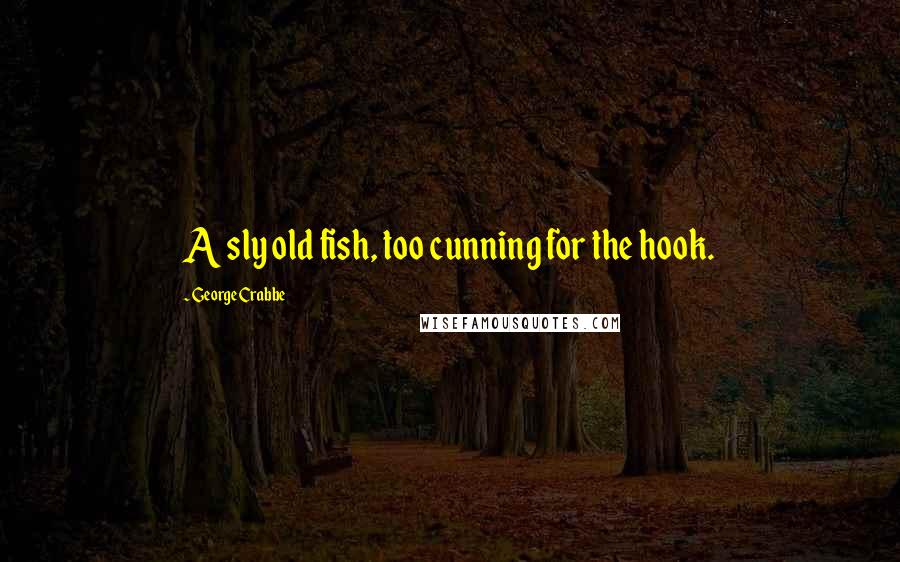 George Crabbe Quotes: A sly old fish, too cunning for the hook.