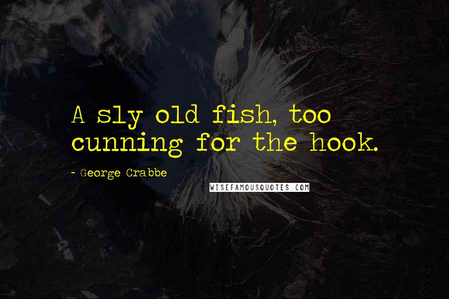George Crabbe Quotes: A sly old fish, too cunning for the hook.