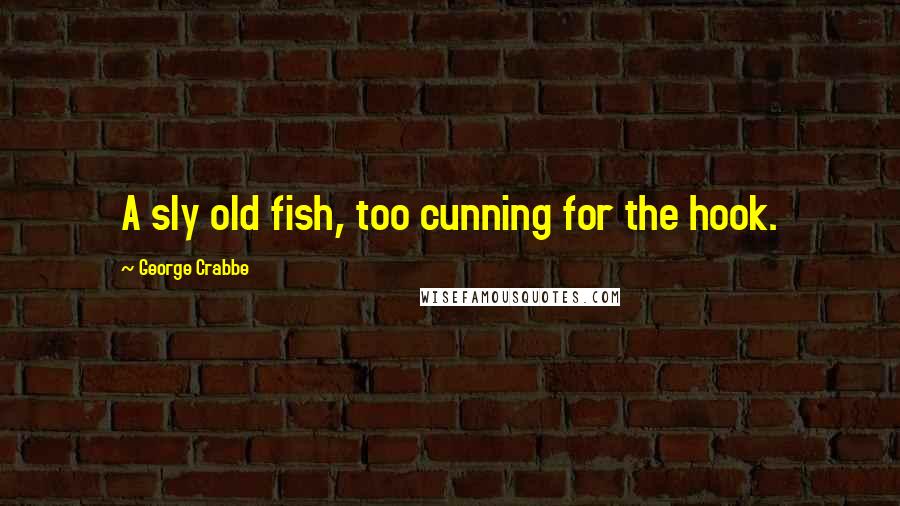 George Crabbe Quotes: A sly old fish, too cunning for the hook.