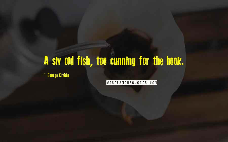 George Crabbe Quotes: A sly old fish, too cunning for the hook.