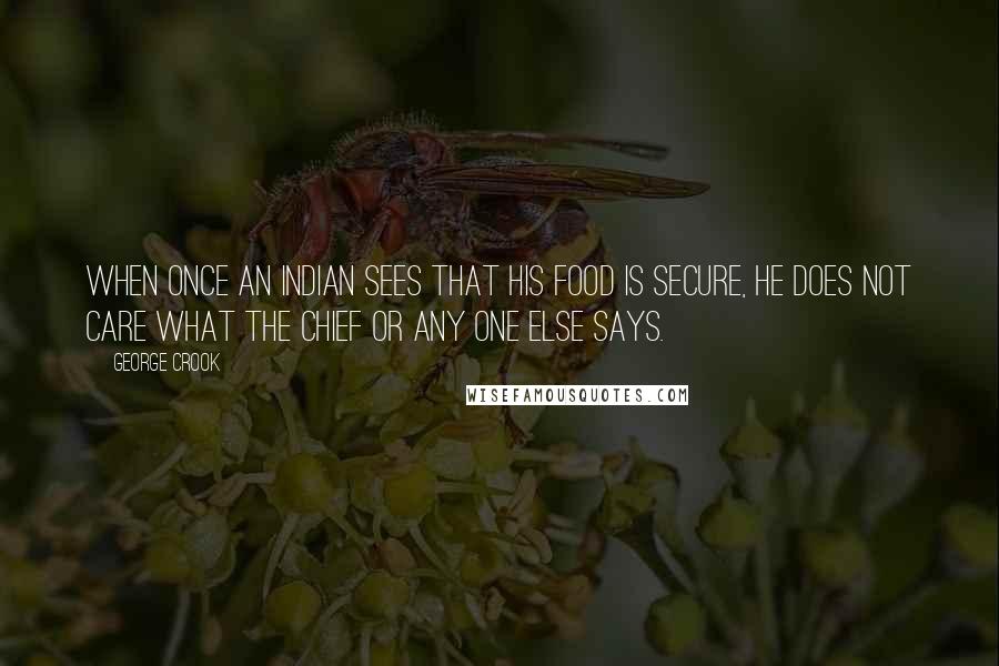 George Crook Quotes: When once an Indian sees that his food is secure, he does not care what the chief or any one else says.