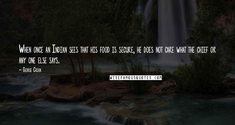 George Crook Quotes: When once an Indian sees that his food is secure, he does not care what the chief or any one else says.