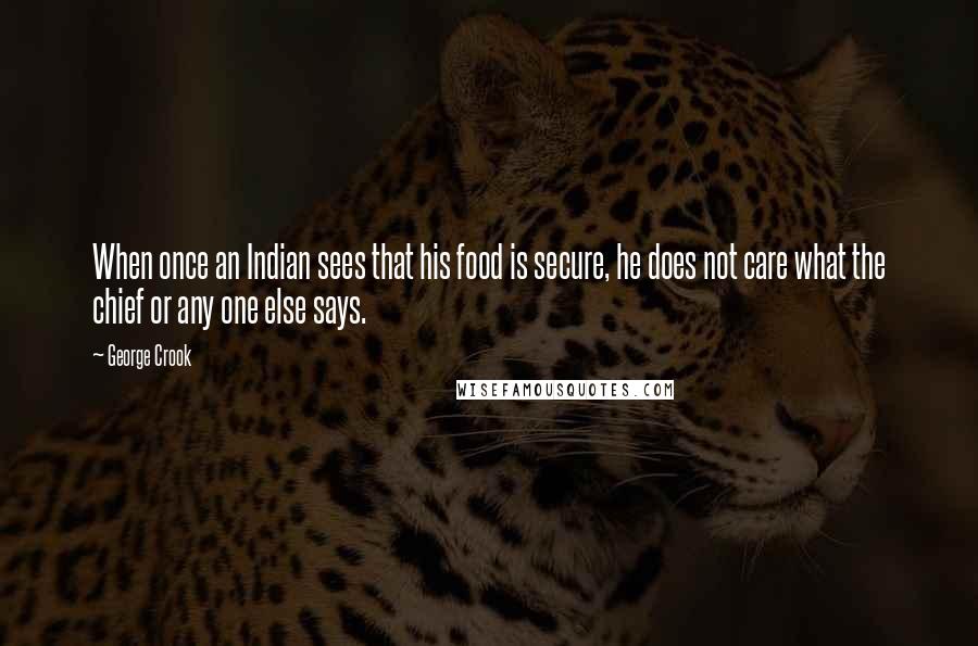 George Crook Quotes: When once an Indian sees that his food is secure, he does not care what the chief or any one else says.