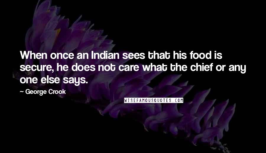 George Crook Quotes: When once an Indian sees that his food is secure, he does not care what the chief or any one else says.