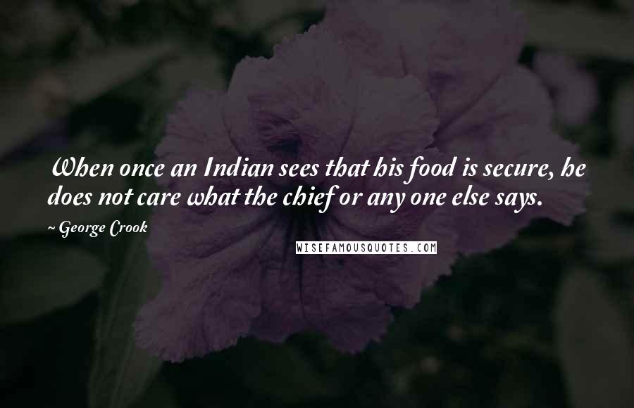 George Crook Quotes: When once an Indian sees that his food is secure, he does not care what the chief or any one else says.