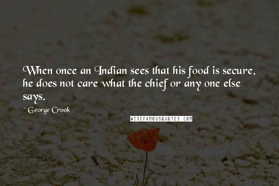 George Crook Quotes: When once an Indian sees that his food is secure, he does not care what the chief or any one else says.