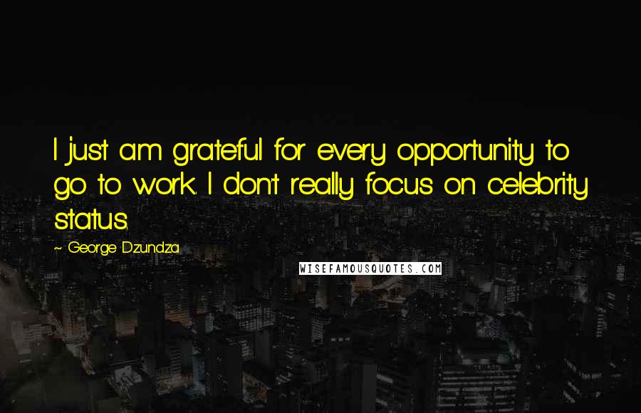 George Dzundza Quotes: I just am grateful for every opportunity to go to work. I don't really focus on celebrity status.