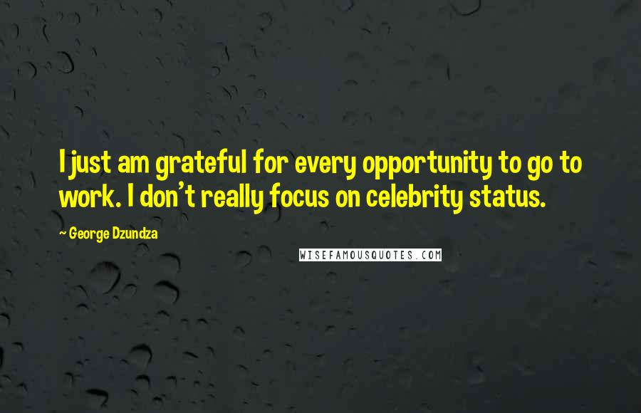 George Dzundza Quotes: I just am grateful for every opportunity to go to work. I don't really focus on celebrity status.