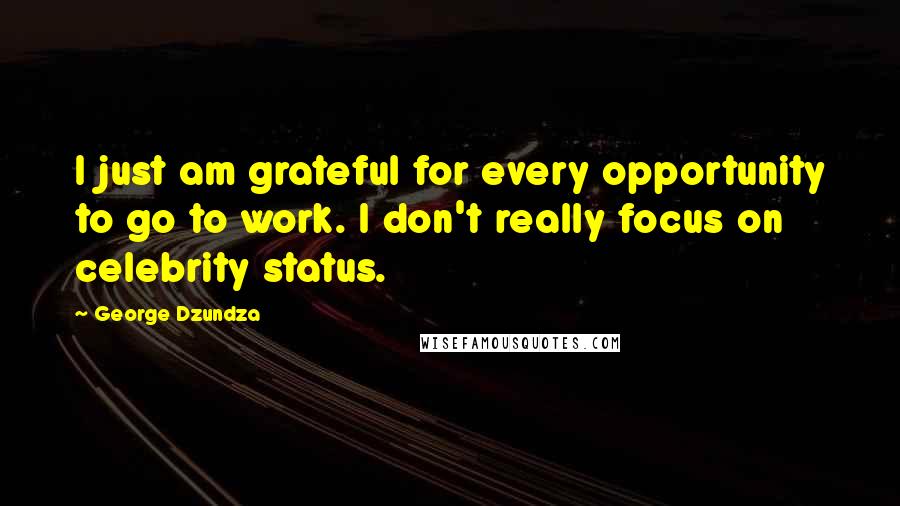 George Dzundza Quotes: I just am grateful for every opportunity to go to work. I don't really focus on celebrity status.