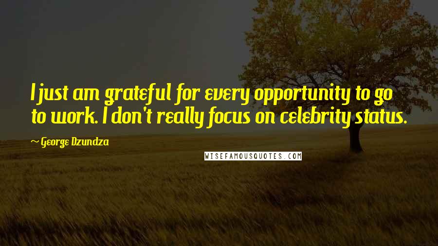 George Dzundza Quotes: I just am grateful for every opportunity to go to work. I don't really focus on celebrity status.