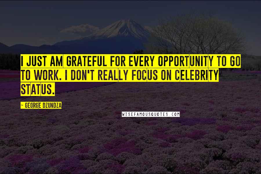 George Dzundza Quotes: I just am grateful for every opportunity to go to work. I don't really focus on celebrity status.