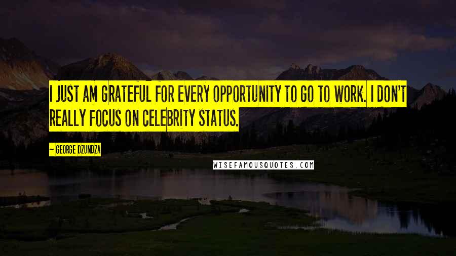 George Dzundza Quotes: I just am grateful for every opportunity to go to work. I don't really focus on celebrity status.