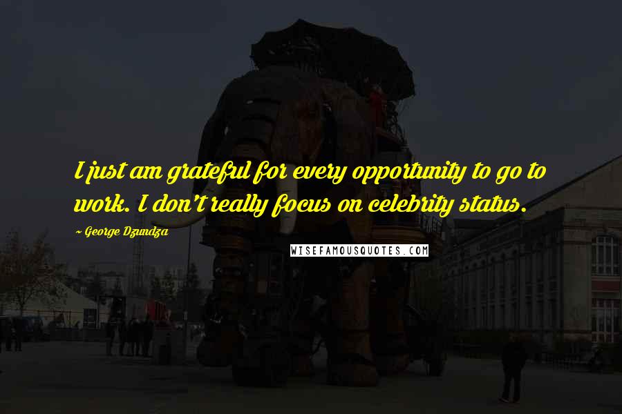 George Dzundza Quotes: I just am grateful for every opportunity to go to work. I don't really focus on celebrity status.