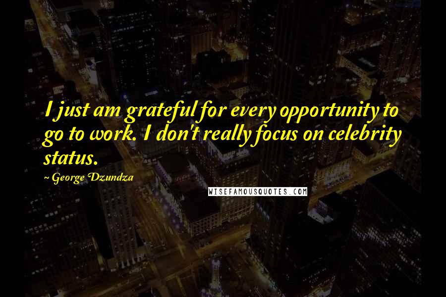 George Dzundza Quotes: I just am grateful for every opportunity to go to work. I don't really focus on celebrity status.