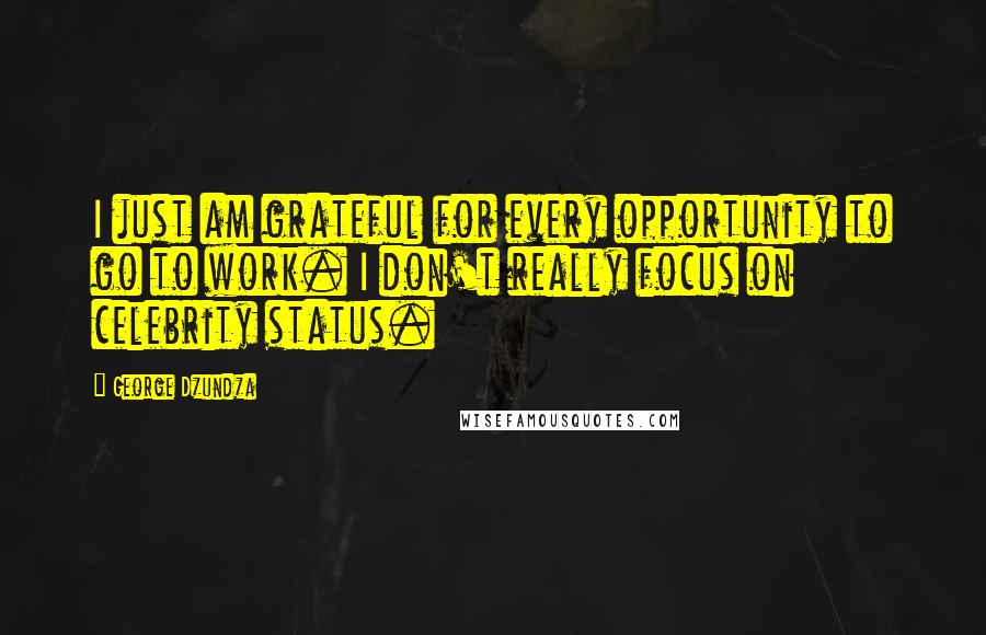 George Dzundza Quotes: I just am grateful for every opportunity to go to work. I don't really focus on celebrity status.