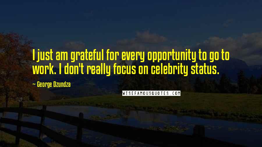 George Dzundza Quotes: I just am grateful for every opportunity to go to work. I don't really focus on celebrity status.