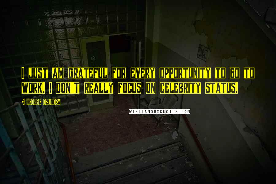 George Dzundza Quotes: I just am grateful for every opportunity to go to work. I don't really focus on celebrity status.