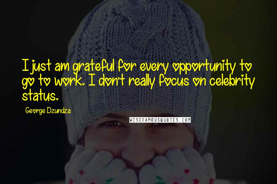 George Dzundza Quotes: I just am grateful for every opportunity to go to work. I don't really focus on celebrity status.