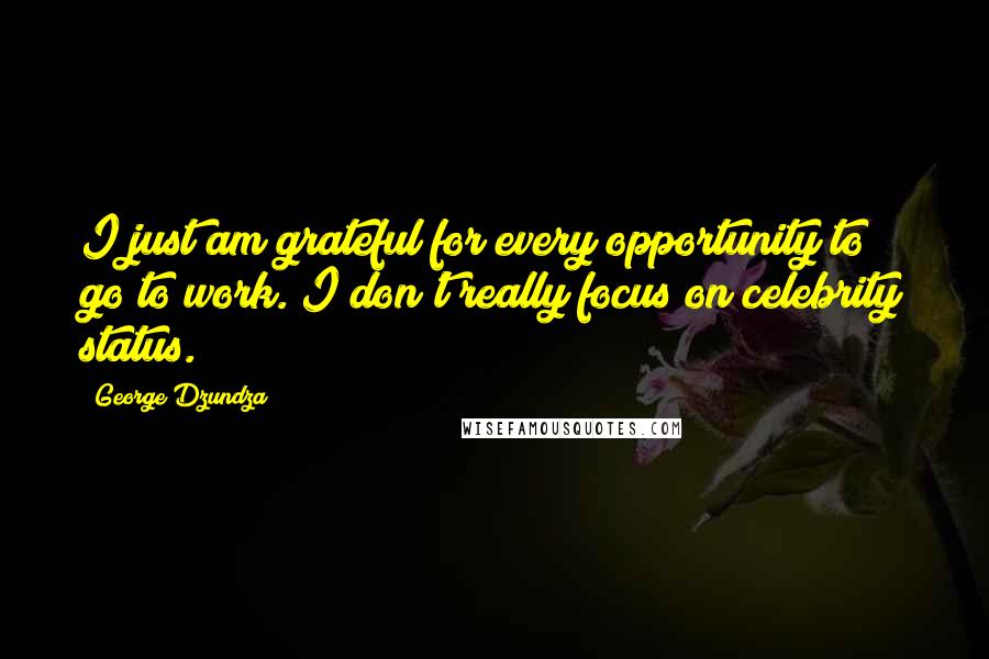 George Dzundza Quotes: I just am grateful for every opportunity to go to work. I don't really focus on celebrity status.