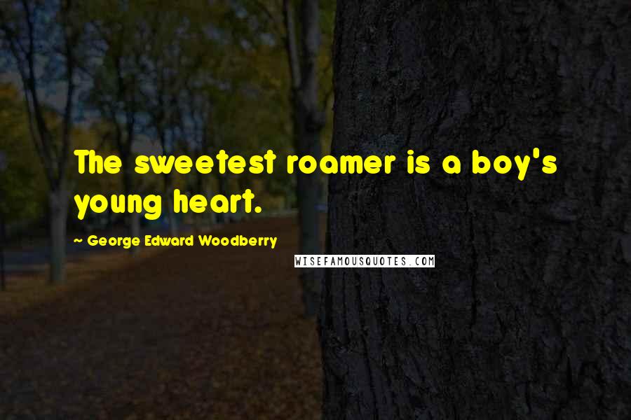 George Edward Woodberry Quotes: The sweetest roamer is a boy's young heart.