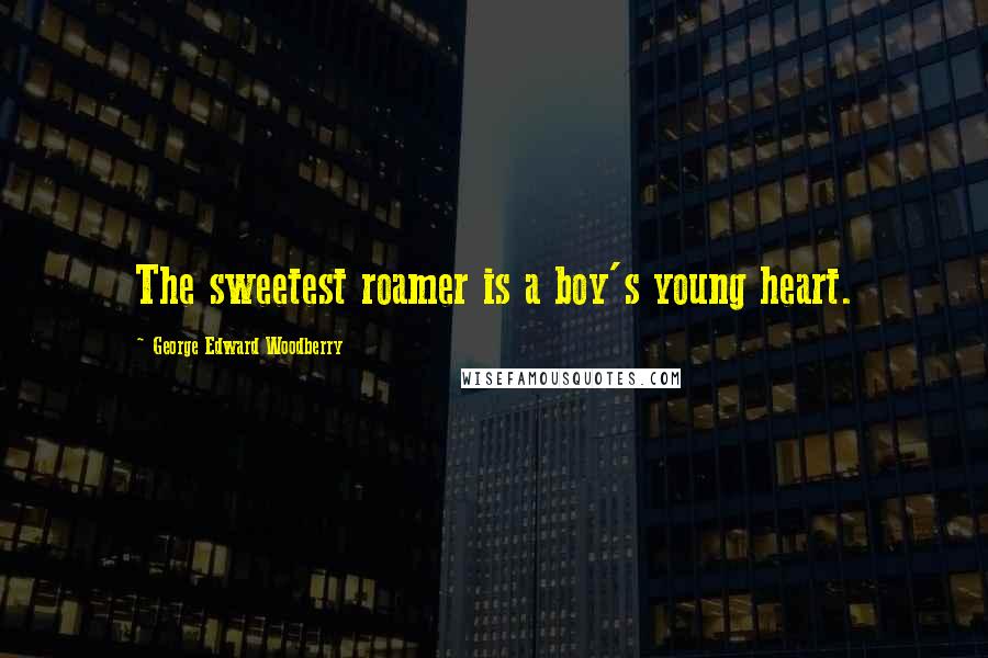 George Edward Woodberry Quotes: The sweetest roamer is a boy's young heart.