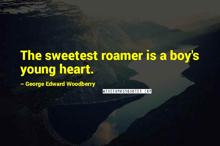 George Edward Woodberry Quotes: The sweetest roamer is a boy's young heart.