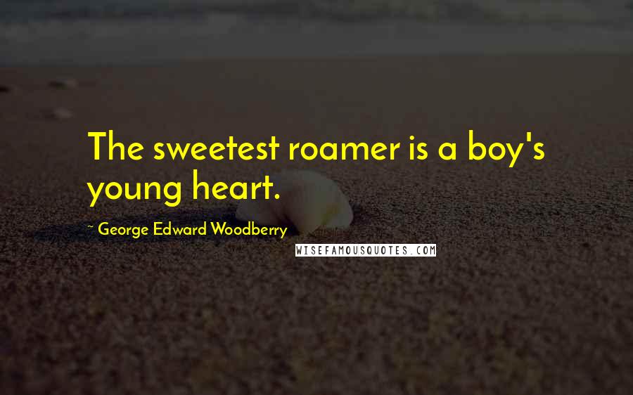 George Edward Woodberry Quotes: The sweetest roamer is a boy's young heart.