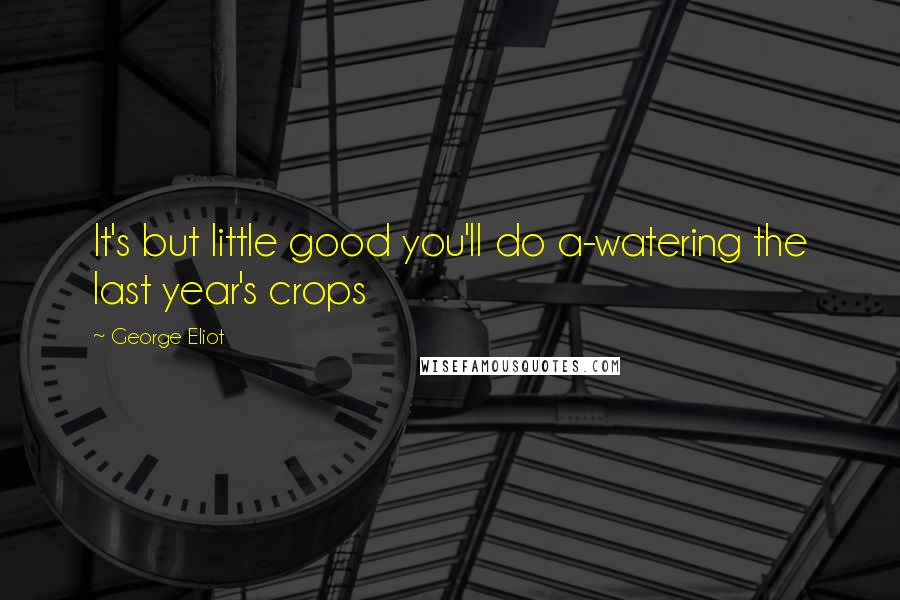 George Eliot Quotes: It's but little good you'll do a-watering the last year's crops