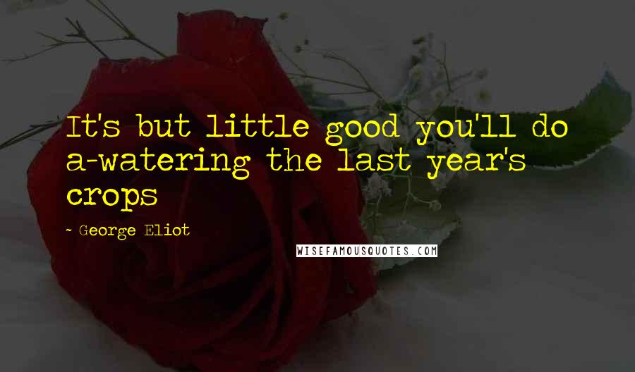 George Eliot Quotes: It's but little good you'll do a-watering the last year's crops