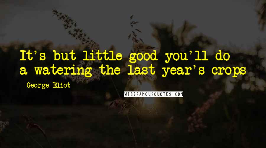 George Eliot Quotes: It's but little good you'll do a-watering the last year's crops