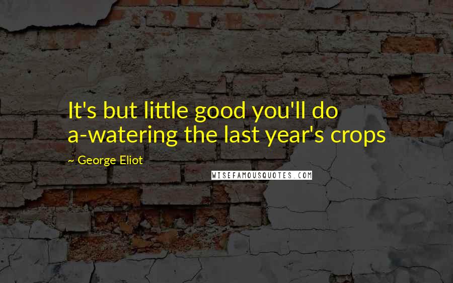 George Eliot Quotes: It's but little good you'll do a-watering the last year's crops