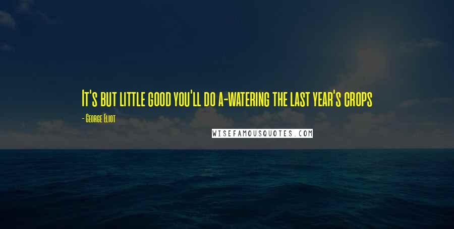 George Eliot Quotes: It's but little good you'll do a-watering the last year's crops