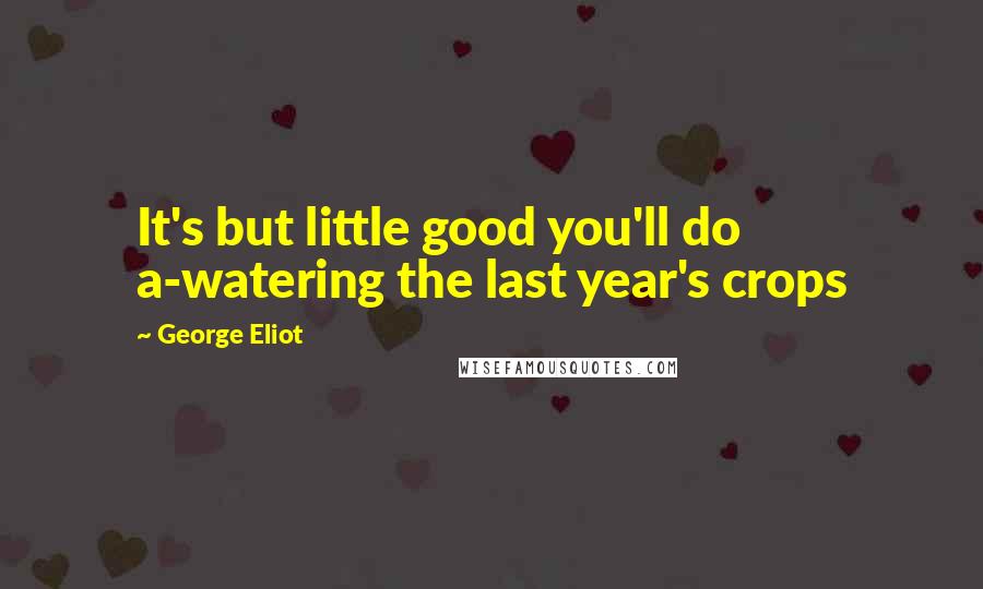 George Eliot Quotes: It's but little good you'll do a-watering the last year's crops