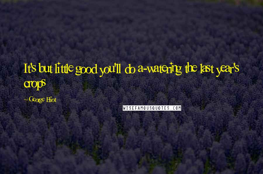 George Eliot Quotes: It's but little good you'll do a-watering the last year's crops