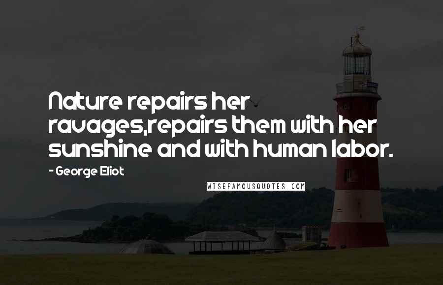 George Eliot Quotes: Nature repairs her ravages,repairs them with her sunshine and with human labor.