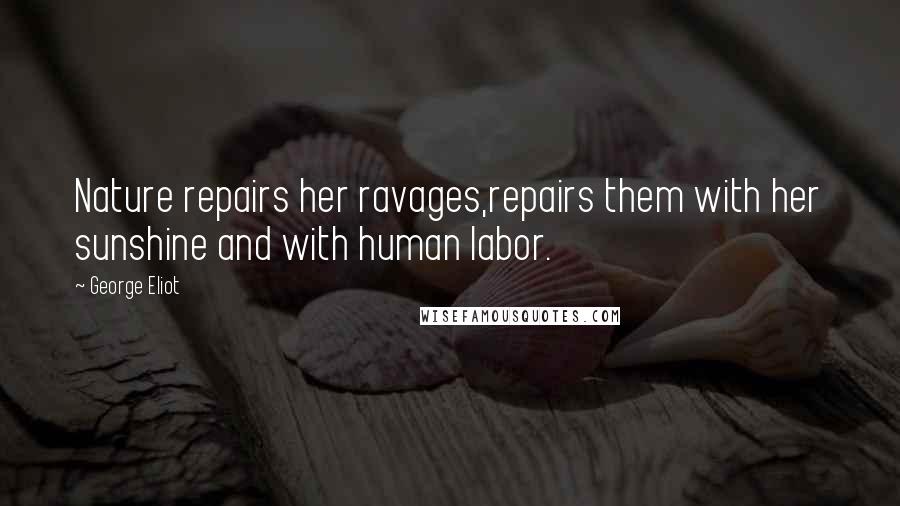 George Eliot Quotes: Nature repairs her ravages,repairs them with her sunshine and with human labor.