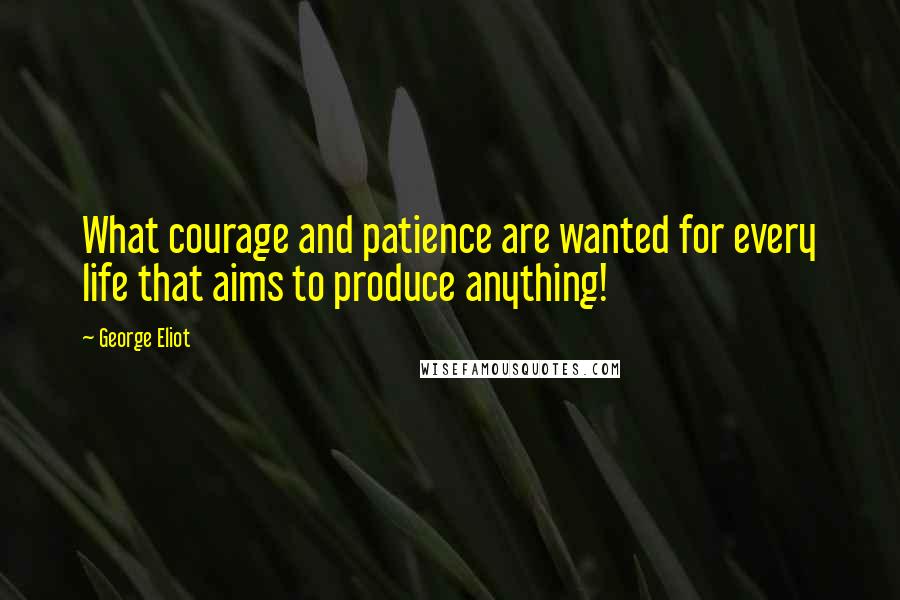 George Eliot Quotes: What courage and patience are wanted for every life that aims to produce anything!