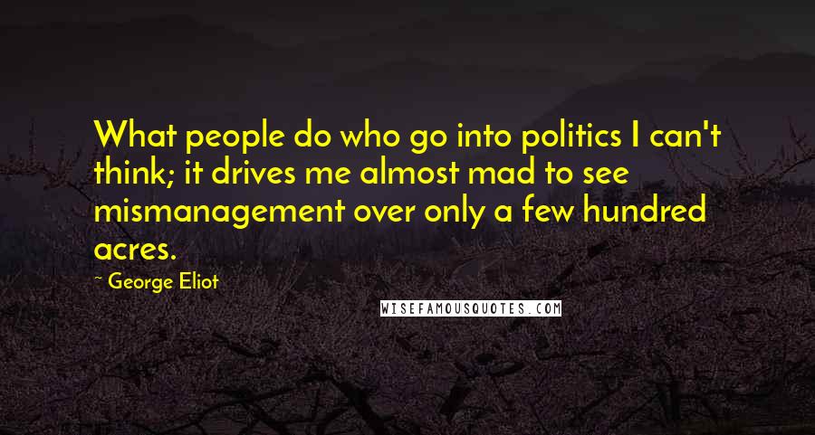 George Eliot Quotes: What people do who go into politics I can't think; it drives me almost mad to see mismanagement over only a few hundred acres.